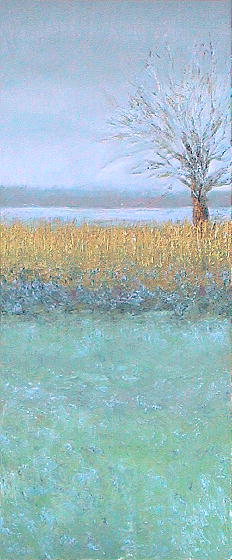 Francoise Stoop - Ankeveen