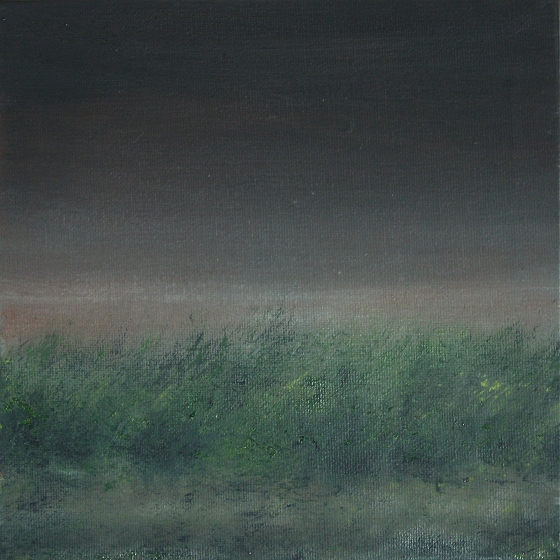 duinen11a.jpg
