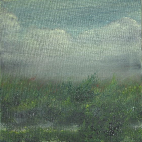 Francoise Stoop - Duinen 11