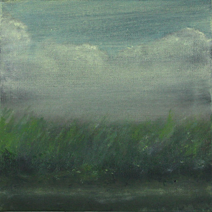 Francoise Stoop - Duinen 11