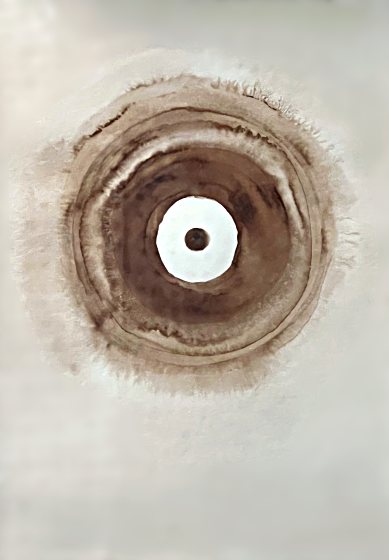 Francoise Stoop - Wood stain 2