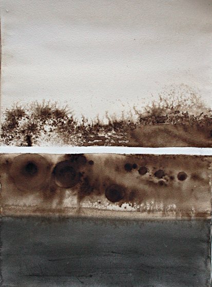 Francoise Stoop - Wood stain 7