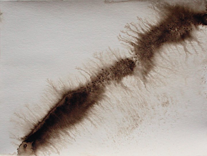 Francoise Stoop - Wood stain 8