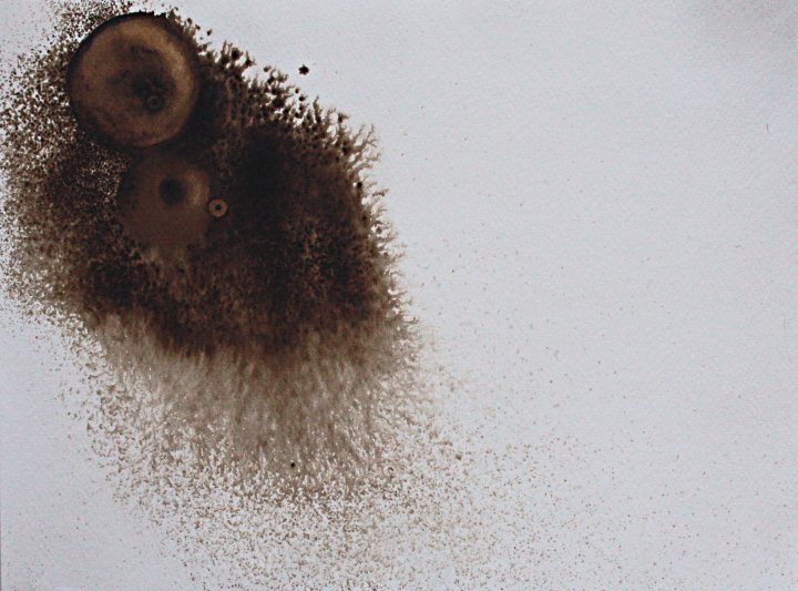 Francoise Stoop - Wood stain 9