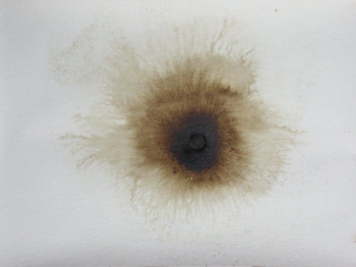 Francoise Stoop - Wood stain 11