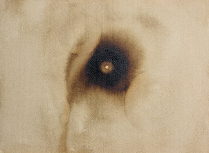 Francoise Stoop - Wood stain 15